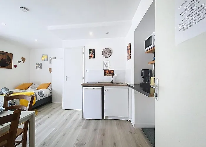 Апартаменты Limbo Hyper Centre Vue Imprenable Sur Le Mont-blanc Шамони